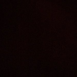 Meet your Posher, Anya